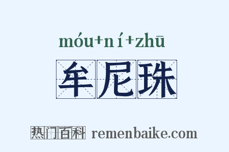 牟尼珠是什么意思的图片